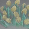 DSCN7054.JPG