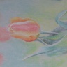 DSCN7053.JPG