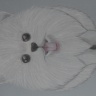 DSCN7055.JPG