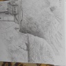 DSCN7057.JPG